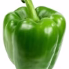 Pepper - Green x3