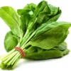 Spinach ~1 kg