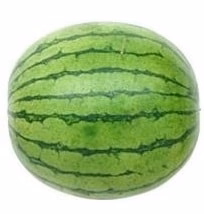 Watermelon - Large