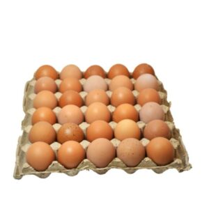 Eggs