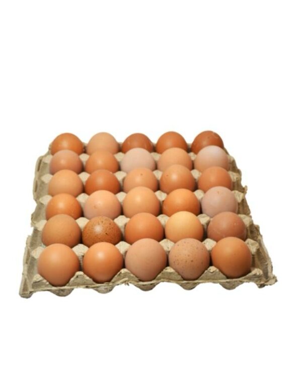 Eggs