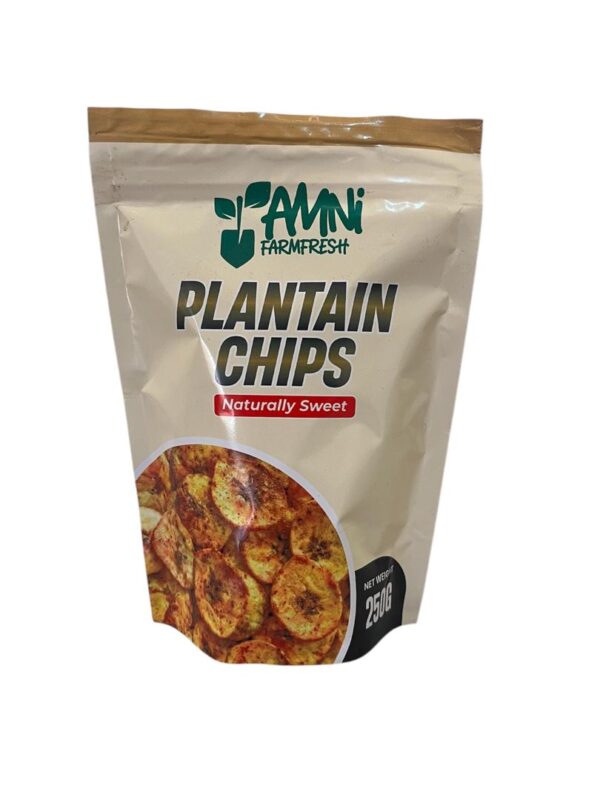 Plantain Chips 250g