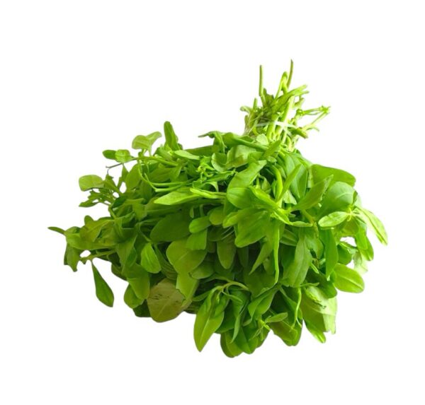 Water leaf 1kg