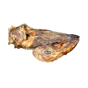 Stock Fish Head